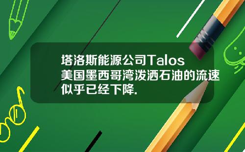 塔洛斯能源公司Talos美国墨西哥湾泼洒石油的流速似乎已经下降.