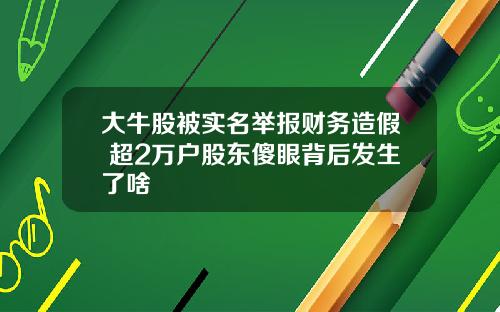 大牛股被实名举报财务造假 超2万户股东傻眼背后发生了啥