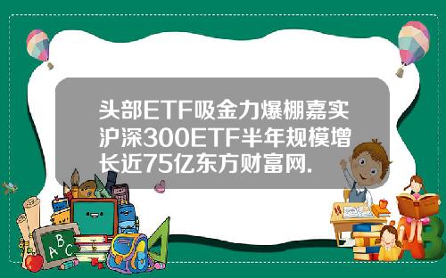 头部ETF吸金力爆棚嘉实沪深300ETF半年规模增长近75亿东方财富网.