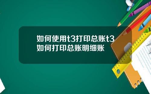 如何使用t3打印总账t3如何打印总账明细账