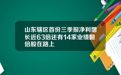 山东辖区首份三季报净利增长近63倍还有14家业绩翻倍股在路上