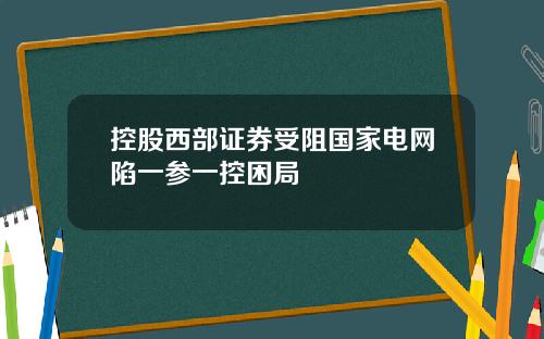 控股西部证券受阻国家电网陷一参一控困局