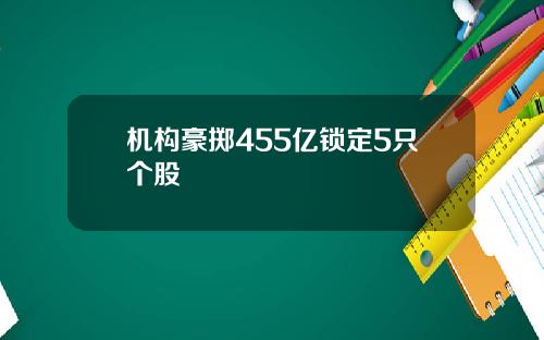 机构豪掷455亿锁定5只个股