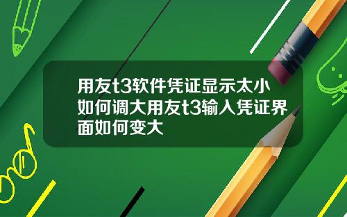 用友t3软件凭证显示太小如何调大用友t3输入凭证界面如何变大