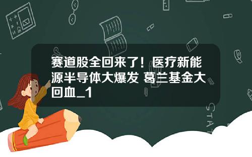 赛道股全回来了！医疗新能源半导体大爆发 葛兰基金大回血_1