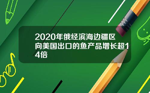 2020年俄经滨海边疆区向美国出口的鱼产品增长超14倍