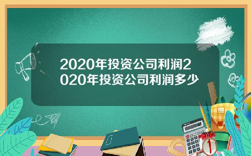 2020年投资公司利润2020年投资公司利润多少