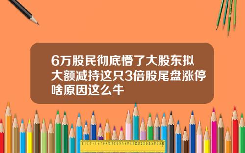 6万股民彻底懵了大股东拟大额减持这只3倍股尾盘涨停啥原因这么牛