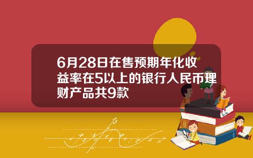 6月28日在售预期年化收益率在5以上的银行人民币理财产品共9款