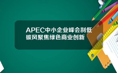 APEC中小企业峰会刮低碳风聚焦绿色商业创新