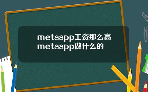 metaapp工资那么高metaapp做什么的