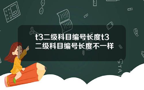 t3二级科目编号长度t3二级科目编号长度不一样