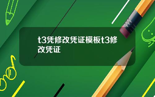 t3凭修改凭证模板t3修改凭证