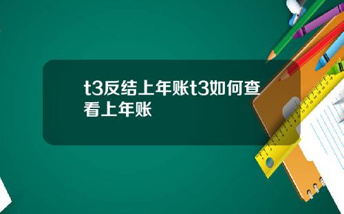 t3反结上年账t3如何查看上年账