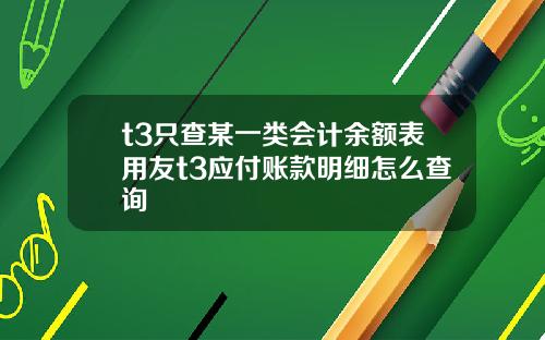 t3只查某一类会计余额表用友t3应付账款明细怎么查询