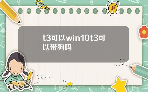 t3可以win10t3可以带狗吗