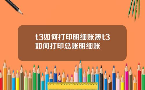 t3如何打印明细账簿t3如何打印总账明细账