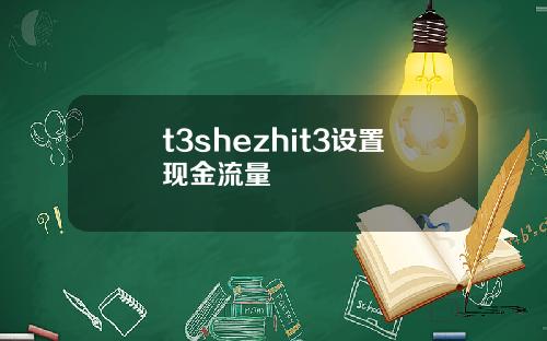 t3shezhit3设置现金流量