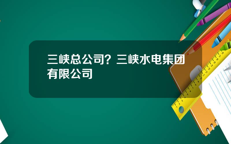 三峡总公司？三峡水电集团有限公司