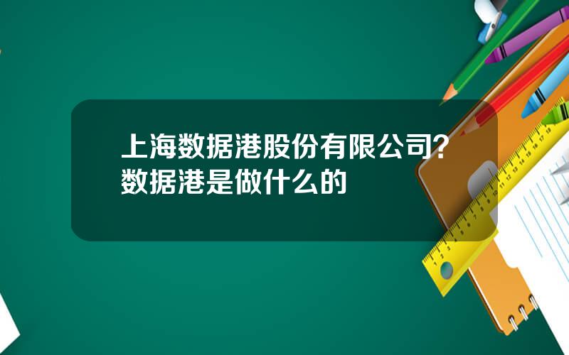 上海数据港股份有限公司？数据港是做什么的