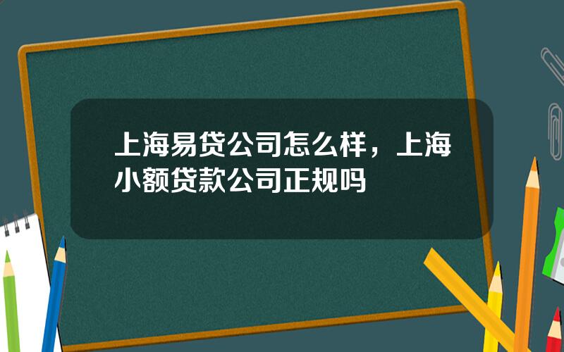 上海易贷公司怎么样，上海小额贷款公司正规吗