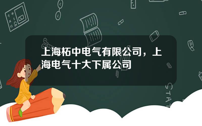 上海柘中电气有限公司，上海电气十大下属公司