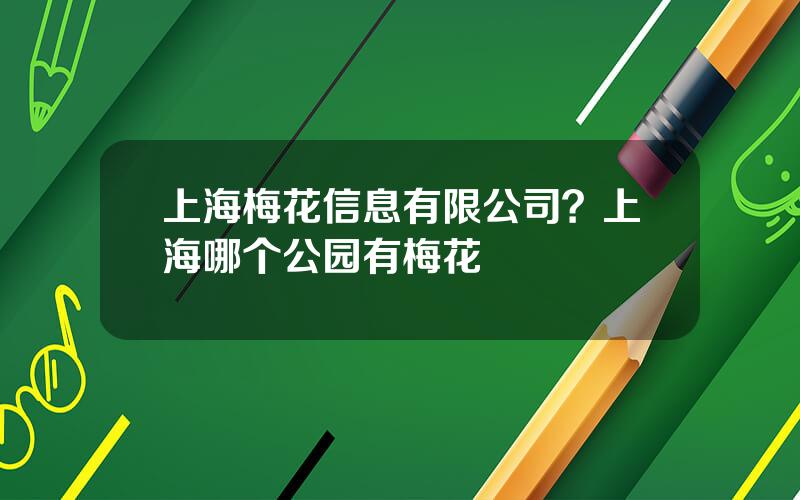 上海梅花信息有限公司？上海哪个公园有梅花