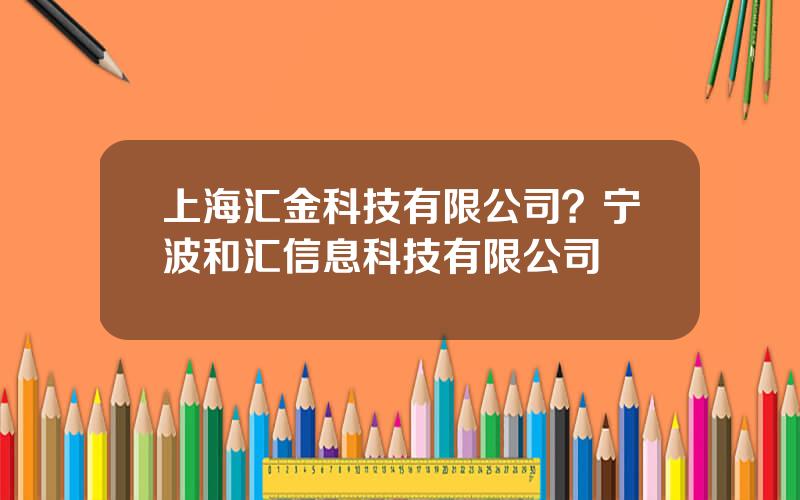 上海汇金科技有限公司？宁波和汇信息科技有限公司