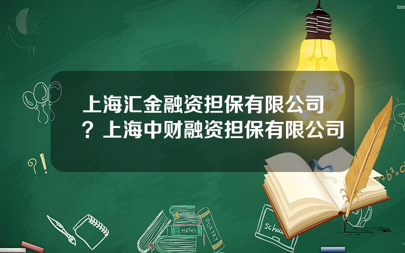 上海汇金融资担保有限公司？上海中财融资担保有限公司