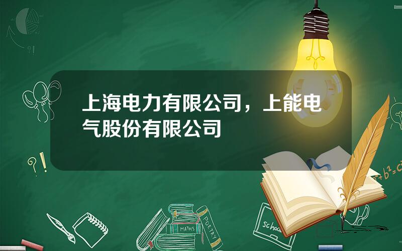 上海电力有限公司，上能电气股份有限公司