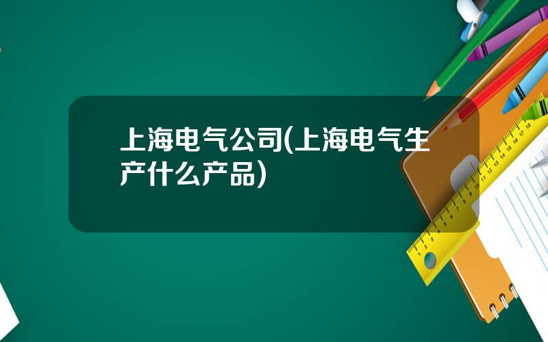 上海电气公司(上海电气生产什么产品)