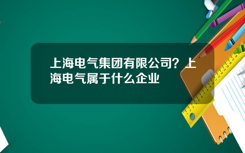 上海电气集团有限公司？上海电气属于什么企业