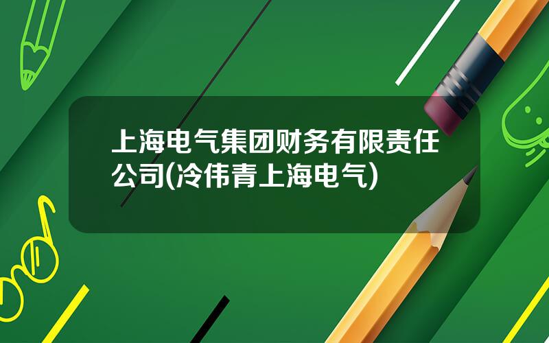 上海电气集团财务有限责任公司(冷伟青上海电气)