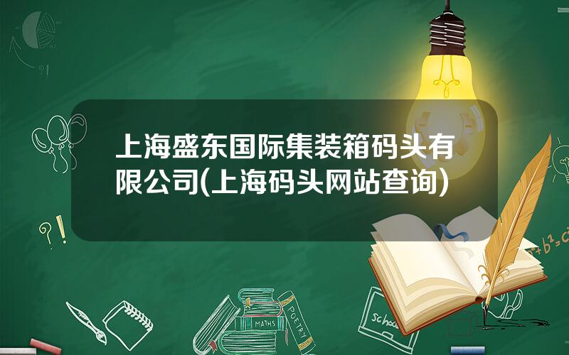 上海盛东国际集装箱码头有限公司(上海码头网站查询)