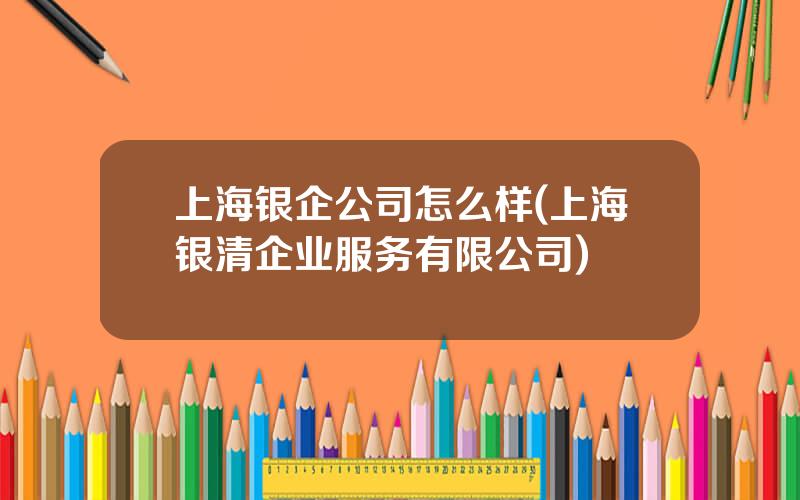 上海银企公司怎么样(上海银清企业服务有限公司)