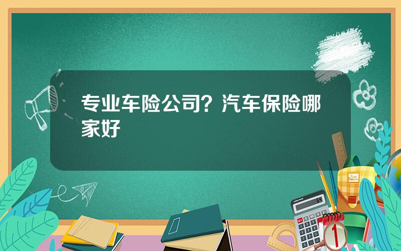 专业车险公司？汽车保险哪家好