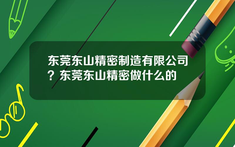 东莞东山精密制造有限公司？东莞东山精密做什么的