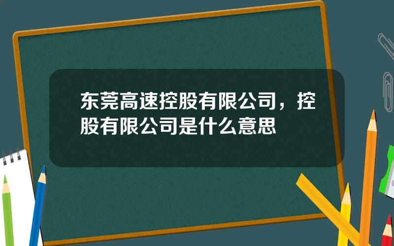 东莞高速控股有限公司，控股有限公司是什么意思