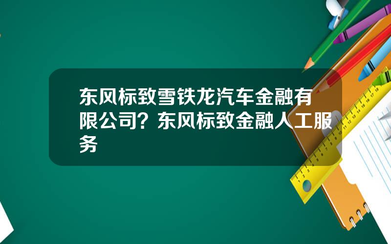 东风标致雪铁龙汽车金融有限公司？东风标致金融人工服务