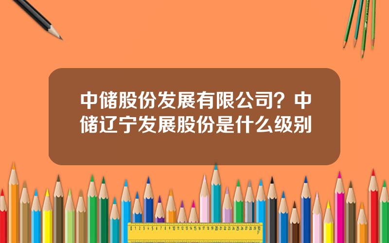 中储股份发展有限公司？中储辽宁发展股份是什么级别