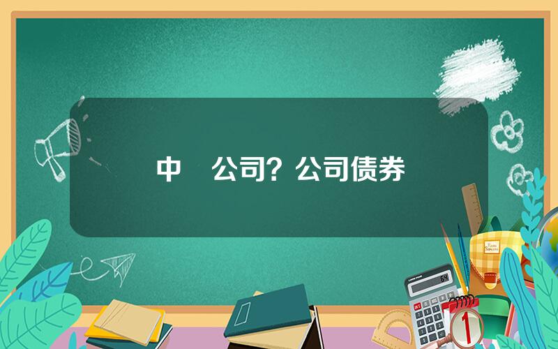 中劵公司？公司债券