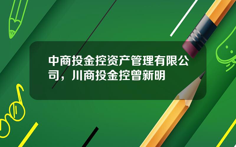 中商投金控资产管理有限公司，川商投金控曾新明