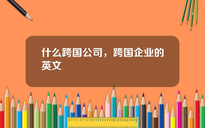 什么跨国公司，跨国企业的英文