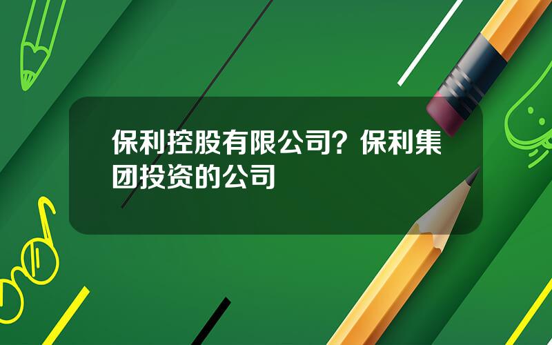 保利控股有限公司？保利集团投资的公司