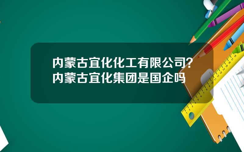 内蒙古宜化化工有限公司？内蒙古宜化集团是国企吗