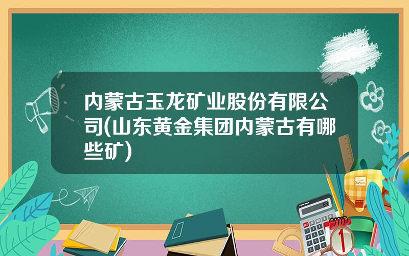 内蒙古玉龙矿业股份有限公司(山东黄金集团内蒙古有哪些矿)