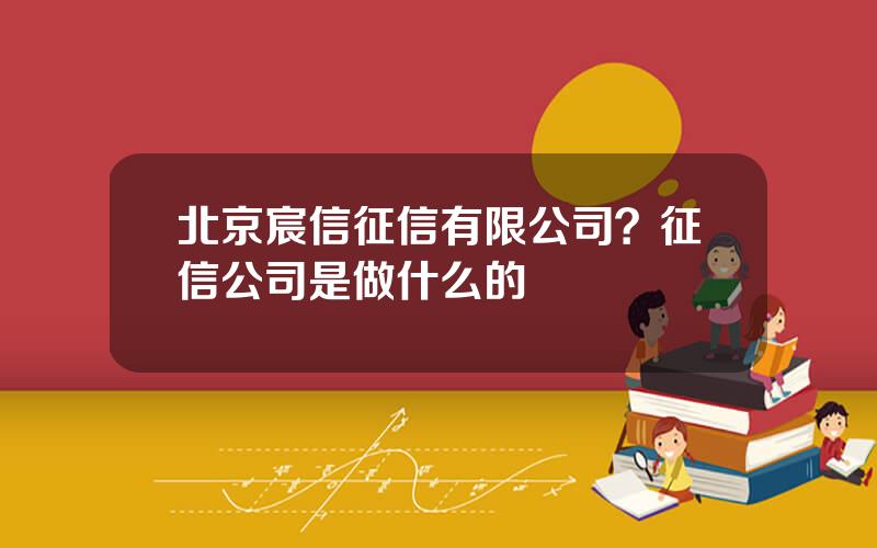 北京宸信征信有限公司？征信公司是做什么的