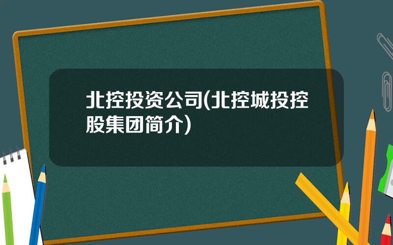 北控投资公司(北控城投控股集团简介)