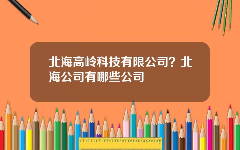 北海高岭科技有限公司？北海公司有哪些公司