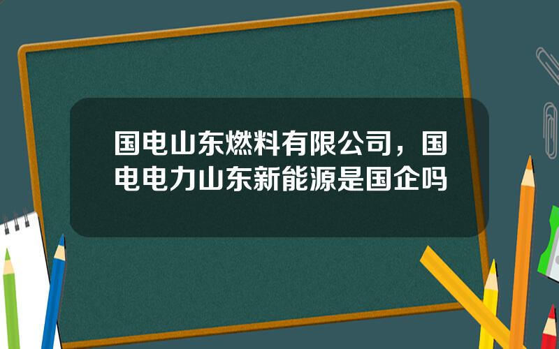 国电山东燃料有限公司，国电电力山东新能源是国企吗